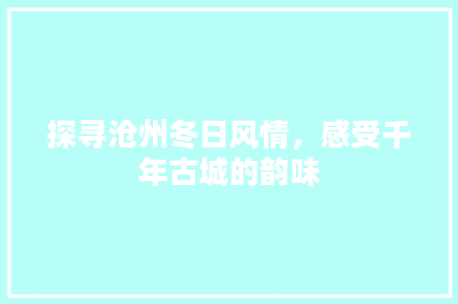 探寻沧州冬日风情，感受千年古城的韵味