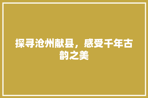 探寻沧州献县，感受千年古韵之美