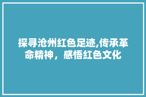 探寻沧州红色足迹,传承革命精神，感悟红色文化