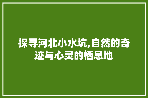 探寻河北小水坑,自然的奇迹与心灵的栖息地