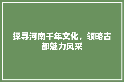 探寻河南千年文化，领略古都魅力风采