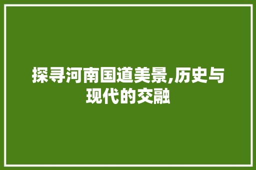 探寻河南国道美景,历史与现代的交融