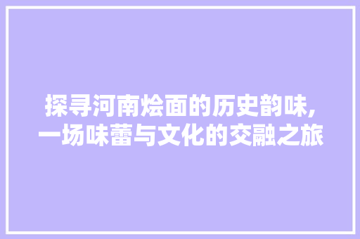 探寻河南烩面的历史韵味,一场味蕾与文化的交融之旅