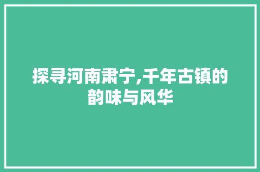 探寻河南肃宁,千年古镇的韵味与风华