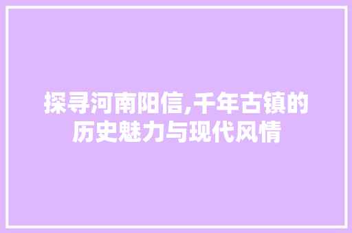 探寻河南阳信,千年古镇的历史魅力与现代风情