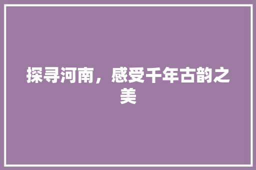 探寻河南，感受千年古韵之美