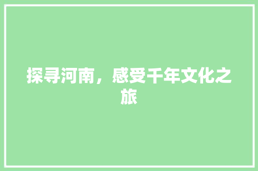 探寻河南，感受千年文化之旅