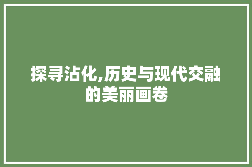 探寻沾化,历史与现代交融的美丽画卷