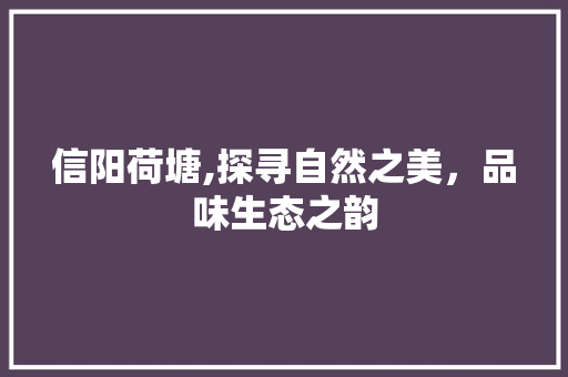 信阳荷塘,探寻自然之美，品味生态之韵