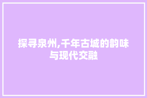 探寻泉州,千年古城的韵味与现代交融