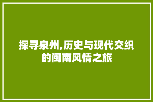 探寻泉州,历史与现代交织的闽南风情之旅