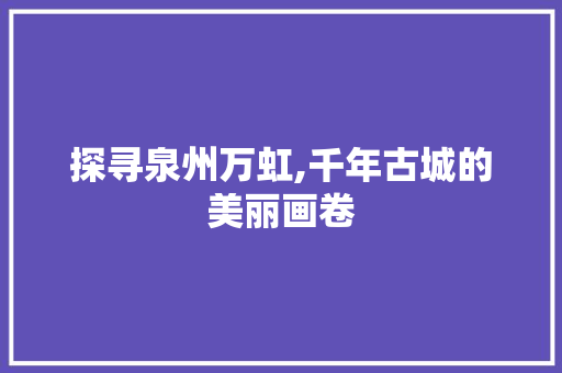 探寻泉州万虹,千年古城的美丽画卷