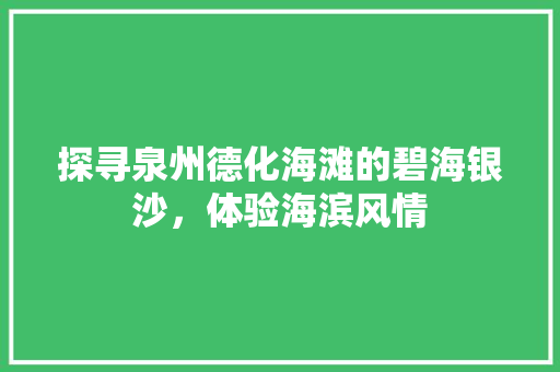 探寻泉州德化海滩的碧海银沙，体验海滨风情