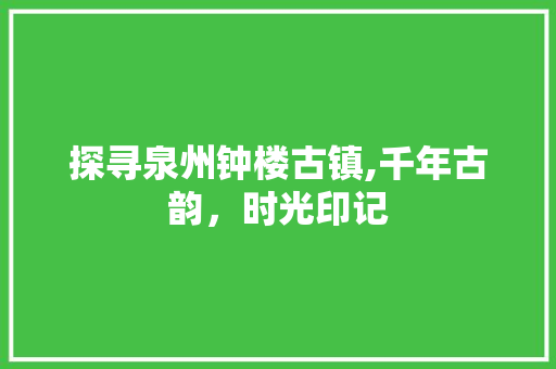 探寻泉州钟楼古镇,千年古韵，时光印记