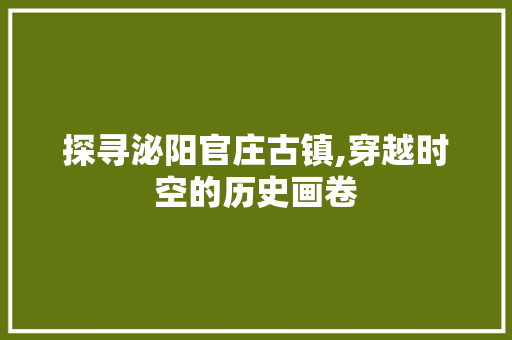 探寻泌阳官庄古镇,穿越时空的历史画卷