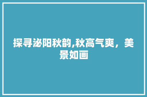 探寻泌阳秋韵,秋高气爽，美景如画