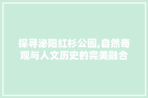 探寻泌阳红杉公园,自然奇观与人文历史的完美融合