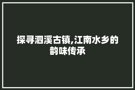 探寻泗溪古镇,江南水乡的韵味传承