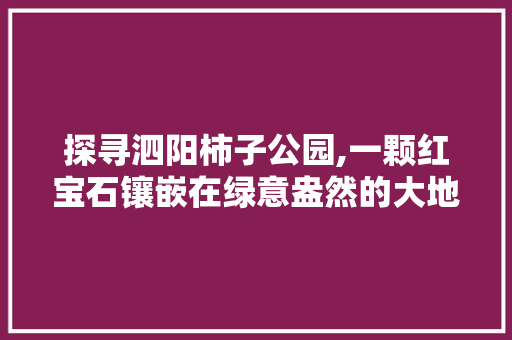 探寻泗阳柿子公园,一颗红宝石镶嵌在绿意盎然的大地