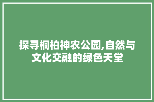 探寻桐柏神农公园,自然与文化交融的绿色天堂