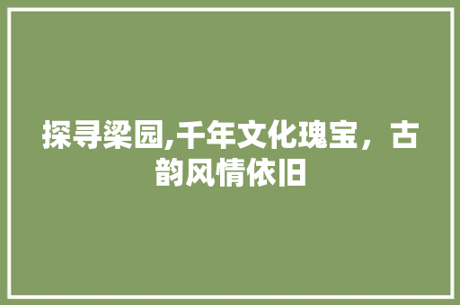 探寻梁园,千年文化瑰宝，古韵风情依旧