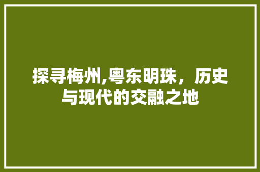 探寻梅州,粤东明珠，历史与现代的交融之地