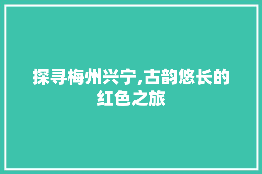 探寻梅州兴宁,古韵悠长的红色之旅