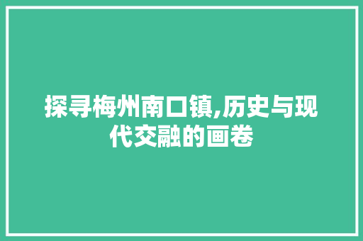 探寻梅州南口镇,历史与现代交融的画卷