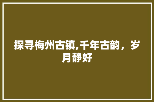 探寻梅州古镇,千年古韵，岁月静好