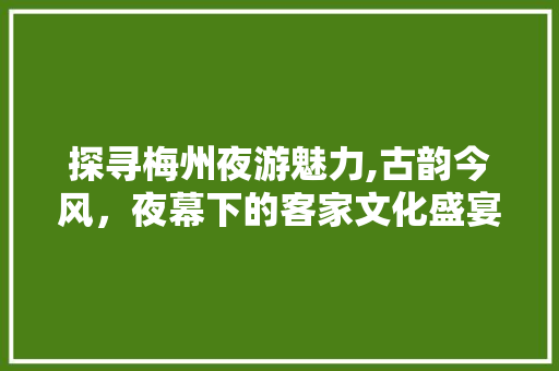 探寻梅州夜游魅力,古韵今风，夜幕下的客家文化盛宴