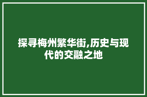 探寻梅州繁华街,历史与现代的交融之地