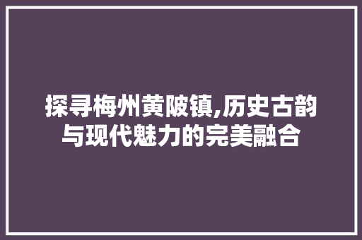 探寻梅州黄陂镇,历史古韵与现代魅力的完美融合