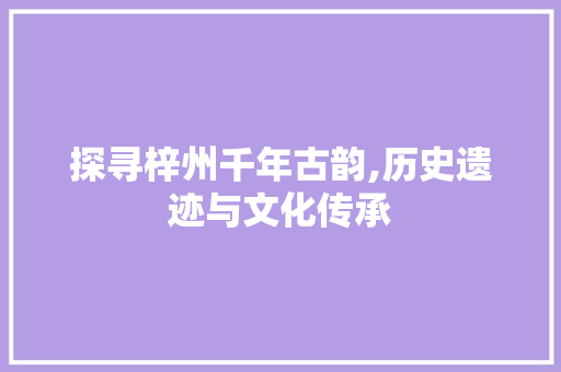 探寻梓州千年古韵,历史遗迹与文化传承