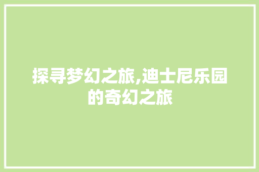 探寻梦幻之旅,迪士尼乐园的奇幻之旅