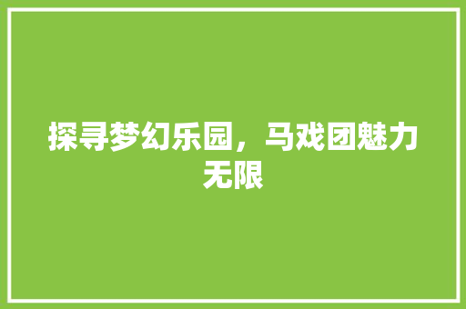 探寻梦幻乐园，马戏团魅力无限