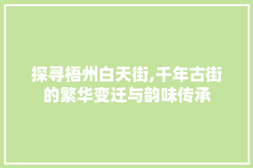 探寻梧州白天街,千年古街的繁华变迁与韵味传承