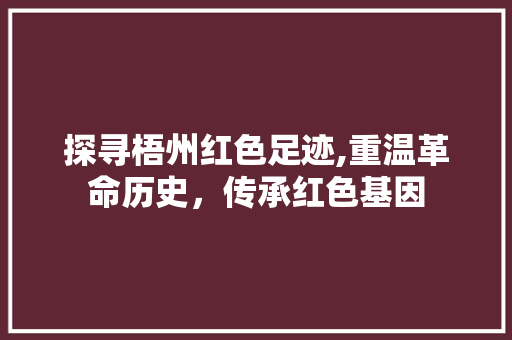 探寻梧州红色足迹,重温革命历史，传承红色基因