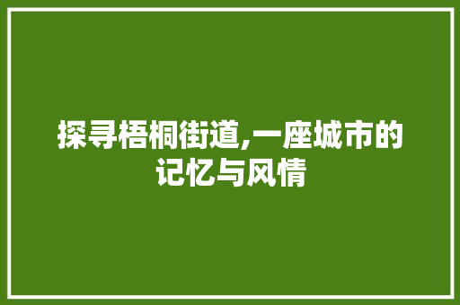 探寻梧桐街道,一座城市的记忆与风情