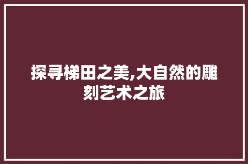 探寻梯田之美,大自然的雕刻艺术之旅