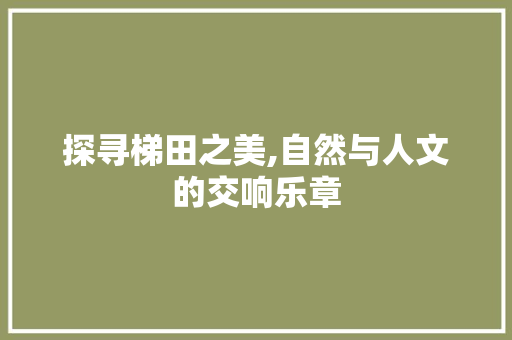 探寻梯田之美,自然与人文的交响乐章