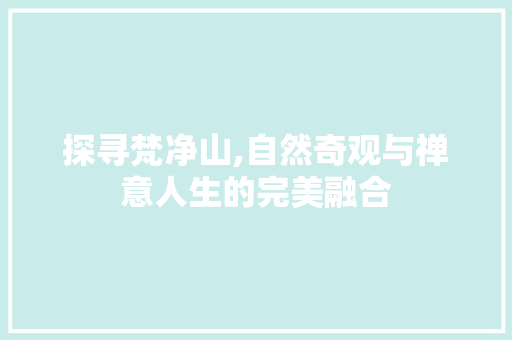 探寻梵净山,自然奇观与禅意人生的完美融合