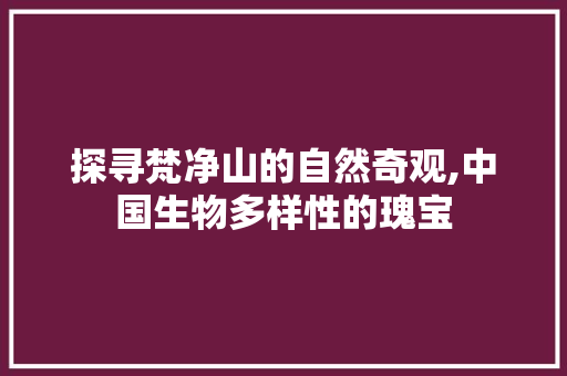 探寻梵净山的自然奇观,中国生物多样性的瑰宝