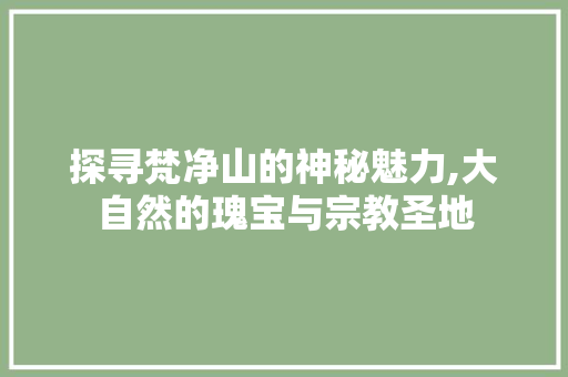 探寻梵净山的神秘魅力,大自然的瑰宝与宗教圣地