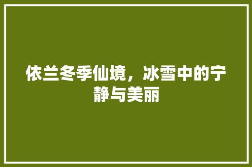 依兰冬季仙境，冰雪中的宁静与美丽  第1张