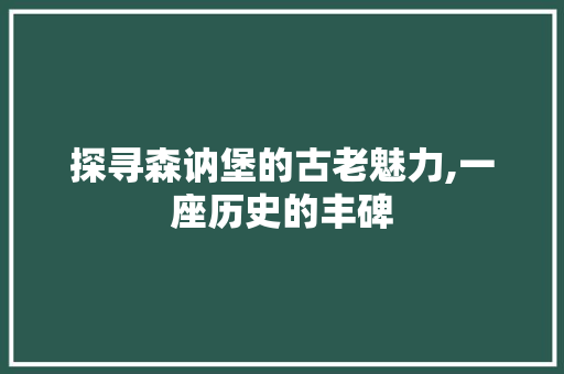 探寻森讷堡的古老魅力,一座历史的丰碑