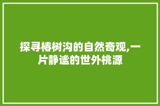 探寻椿树沟的自然奇观,一片静谧的世外桃源