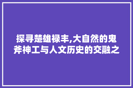 探寻楚雄禄丰,大自然的鬼斧神工与人文历史的交融之地