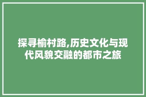 探寻榆村路,历史文化与现代风貌交融的都市之旅