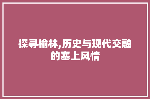 探寻榆林,历史与现代交融的塞上风情