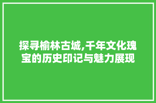 探寻榆林古城,千年文化瑰宝的历史印记与魅力展现